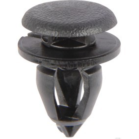 Clip, Zier- / Schutzleiste für RENAULT von HERTH+BUSS ELPARTS