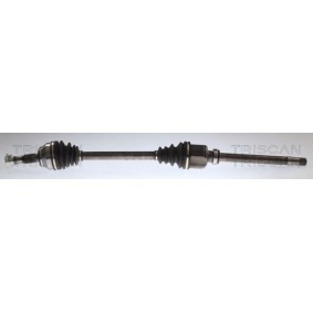 Compre Veio de transmissão de TRISCAN online para Movano C Flatvogn lastebil / Chassis (U9) a preços moderados