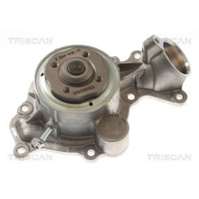 Compre Bomba de água de TRISCAN online para Panamera (972) a preços moderados