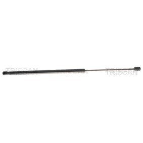 Heckklappendämpfer 8710 16309 von TRISCAN günstig für 15,42 € online kaufen