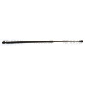 Heckklappendämpfer 8710 43307 von TRISCAN günstig für 22,93 € online kaufen
