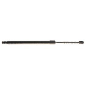 Comprar Muelle neumático, capó de motor de TRISCAN 8710 81207 a bajo precio de 15,86 €