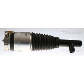 Comprar Muelle neumático, suspensión de TRISCAN 8720 27102 a bajo precio de 695,04 €