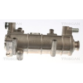 Acquista Radiatore EGR da TRISCAN 8813 10117 a buon mercato per soli 339,92 €