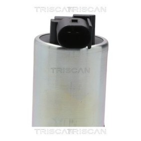 Compre Válvula EGR da TRISCAN 8813 27009 a um preço baixo por 263,62 €