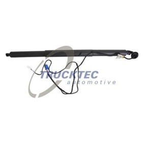 Heckklappe-Motor 02.62.003 von TRUCKTEC AUTOMOTIVE günstig für 163,60 € online kaufen