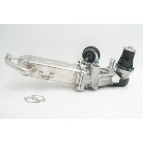 Compre Válvula EGR da RIVOLV RIV1001 a um preço baixo por 241,49 €