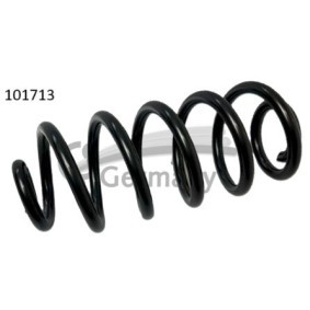 Compre Muelles de CS Germany online para X6 (E71, E72) a precios moderados