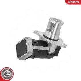 AGR-Ventil 14SKV306 von ESEN SKV günstig für 206,63 € online kaufen