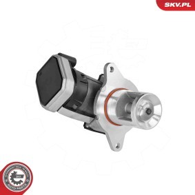 AGR-Ventil 14SKV307 von ESEN SKV günstig für 216,49 € online kaufen