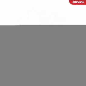 Compre Rejilla de ESEN SKV online para Clase C Sedán (W204) a precios moderados