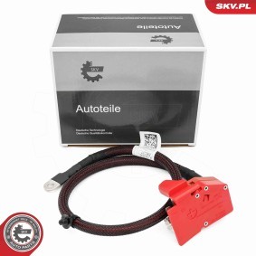 Compre Batería de ESEN SKV online para X5 (G05, F95) a precios moderados