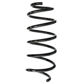 Fahrwerksfeder GKNW10196 von SPIDAN günstig für 61,67 € online kaufen