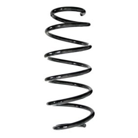 Fahrwerksfeder GKNW10197 von SPIDAN günstig für 67,20 € online kaufen