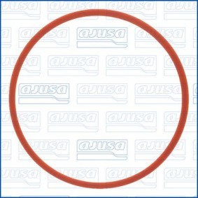 Dichtung, Drosselklappe 24054900 von AJUSA günstig für 6,44 € online kaufen