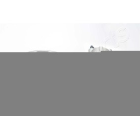 Bremssattel CAL106LJM von JAPANPARTS günstig für 112,54 € online kaufen