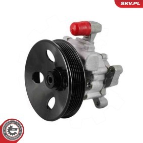 Compre Bomba de direção da ESEN SKV 10SKV333 a um preço baixo por 97,82 €
