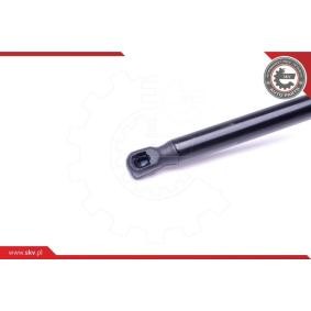Compre Amortecedor da mala de ESEN SKV online para SANTA FÉ IV Caixa/SUV (TM) a preços moderados