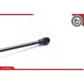 Köp Elmotor, baklucka av ESEN SKV 52SKV269 till det låga priset 1861,59 kr