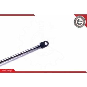 Acquista Motore elettrico, Cofano posteriore da ESEN SKV 52SKV273 a buon mercato per soli 146,93 €