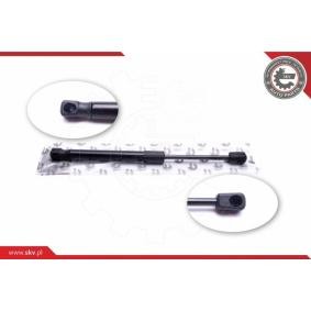 Heckklappe-Motor 52SKV293 von ESEN SKV günstig für 117,78 € online kaufen