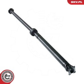 Compre Veio de transmissão da ESEN SKV 76SKV117 a um preço baixo por 284,16 €