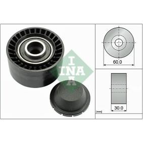Umlenk- / Führungsrolle, Keilrippenriemen 532 0320 10 von INA günstig für 19,57 € online kaufen