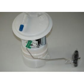 Acquista Pompa carburante da STARQ online per 407 Coupé (6C_) a prezzi moderati