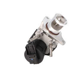 Acquista Valvola EGR da STARQ SQ322-02289 a buon mercato per soli 101,93 €