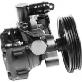 Achetez des Pompe de direction assistée STARQ SQ924-09114 à prix pour 119,33 €