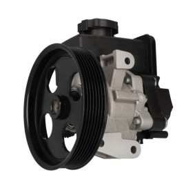 Comprar Bomba de dirección de STARQ SQ924-11106 a bajo precio de 122,85 €
