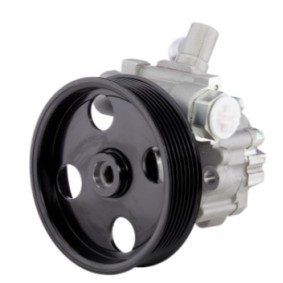 Comprar Bomba de dirección de STARQ SQ924-11118 a bajo precio de 92,78 €