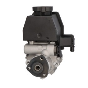 Comprar Bomba de dirección de STARQ SQ924-11123 a bajo precio de 123,46 €