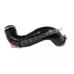 Compre Tubo flexível do ar de sobrealimentação da GT-BERGMANN GT52-820 a um preço baixo por 38,59 €