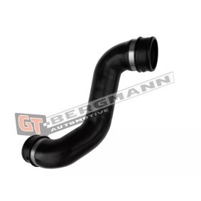 Compre Tubo flexível do ar de sobrealimentação da GT-BERGMANN GT52-841 a um preço baixo por 65,21 €