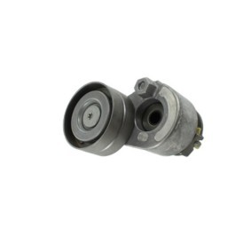 Achetez des Galet tendeur de courroie d'accessoire de chez KRAFT en ligne pour INTERSTAR Camionnette (X70) à prix modérés