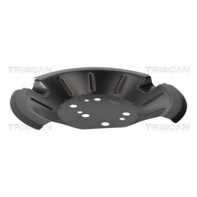 Compre Chapa protectora de disco de freno de TRISCAN online para Fiesta Mk7 Furgoneta a precios moderados