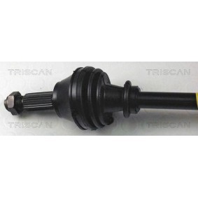 Acquista Semiasse da TRISCAN 8540 11607 a buon mercato per soli 115,80 €