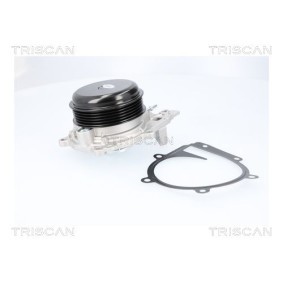 Acquista Pompa acqua da TRISCAN 8600 23107 a buon mercato per soli 156,78 €