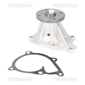 Compre Bomba de água da TRISCAN 8600 43033 a um preço baixo por 49,17 €
