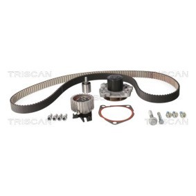 Acquista Kit cinghia distribuzione, pompa acqua da TRISCAN 8647 150009 a buon mercato per soli 270,98 €