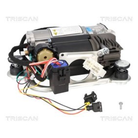 Kompressor, Luftfederung 8725 11106 von TRISCAN günstig für 460,50 € online kaufen