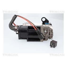 Kompressor, Luftfederung 8725 11108 von TRISCAN günstig für 651,71 € online kaufen