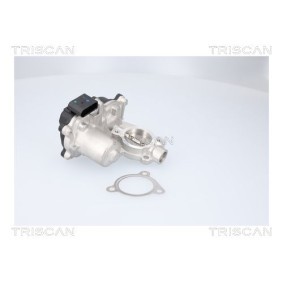 Achetez des Vanne EGR TRISCAN 8813 29116 à prix pour 136,40 €