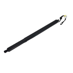 Compre Amortecedor da mala de BUGIAD online para X5 (G05) a preços moderados
