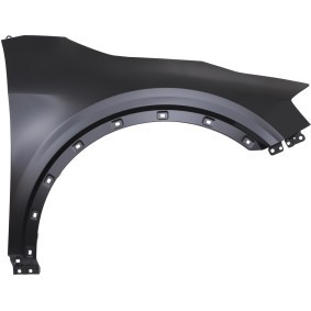 Compre Guarda-lamas de DIEDERICHS online para Sportage V (NQ5) a preços moderados