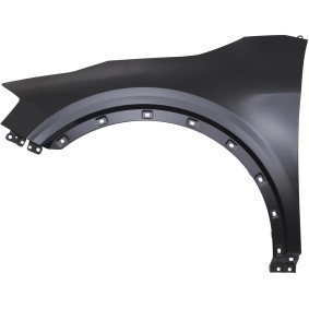Compre Guarda-lamas de DIEDERICHS online para Sportage V (NQ5) a preços moderados