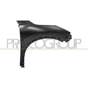 Compre Guardabarros de PRASCO online para X-Trail (T33) a precios moderados