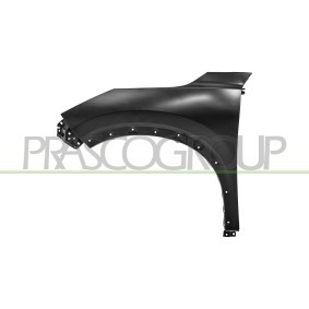 Compre Guardabarros de PRASCO online para X-Trail (T33) a precios moderados