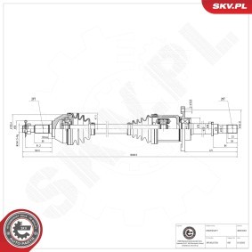 Compre Veio de transmissão da ESEN SKV 40SKV061 a um preço baixo por 158,73 €